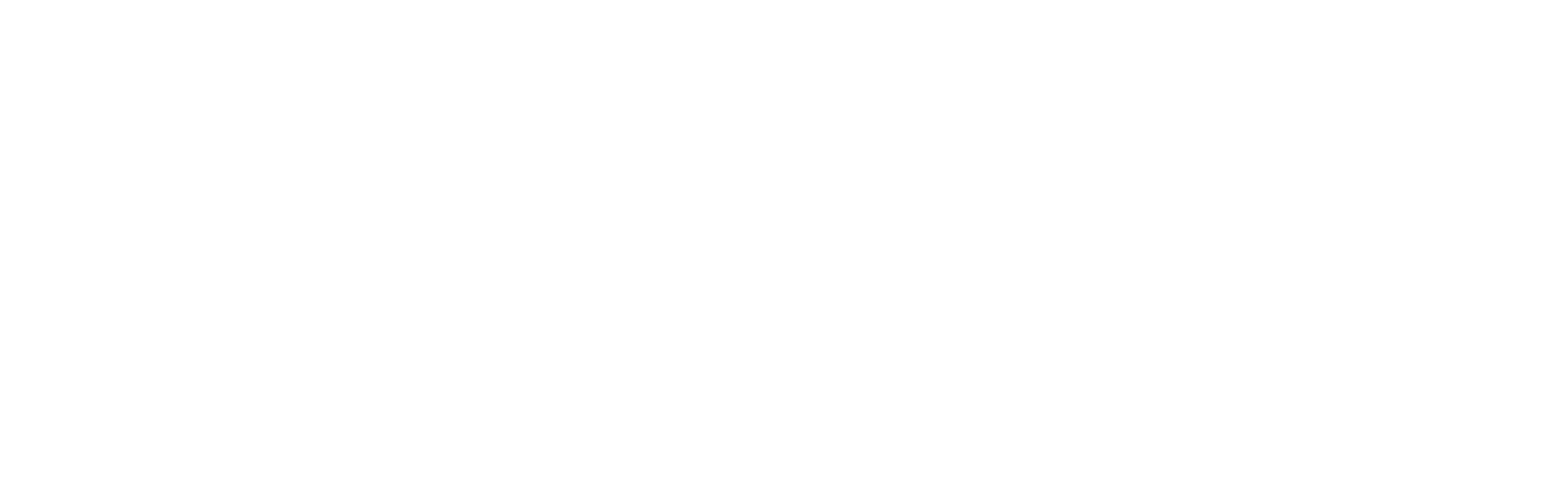 Smeta logo